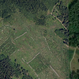 Satellite imagery of Romavský les, CZ
