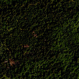 Satellite imagery of survey_point, AT