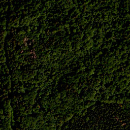 Satellite imagery of survey_point, AT