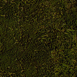 Satellite imagery of Moorberg, DE