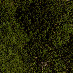 Satellite imagery of Farrenberg, DE