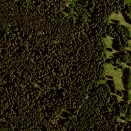 Satellite imagery of (Chaloupky) [Kvilda-Bučina], CZ