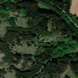 Satellite imagery of Velké lesy [Županovice u Dešné], CZ
