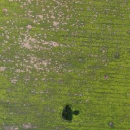 Satellite imagery of Velkovýkrmna Dešná HG, CZ