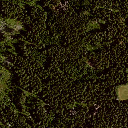 Satellite imagery of (Chaloupky) [Kvilda-Bučina], CZ
