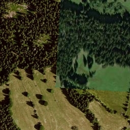 Satellite imagery of (Chaloupky) [Kvilda-Bučina], CZ