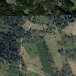 Satellite imagery of Velké lesy [Županovice u Dešné], CZ