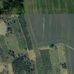 Satellite imagery of Velké lesy [Županovice u Dešné], CZ