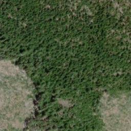 Satellite imagery of Mount Whymper, CA