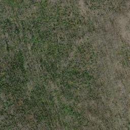 Satellite imagery of Ptarmigan Ridge, US