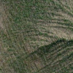 Satellite imagery of Ptarmigan Ridge, US