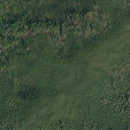 Satellite imagery of Parke Ridge, US