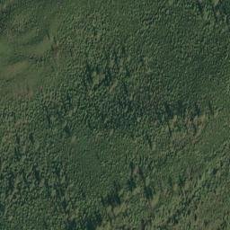 Satellite imagery of Parke Ridge, US