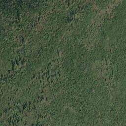 Satellite imagery of Parke Ridge, US