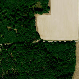 Satellite imagery of Sendeturm Gelbelsee, DE