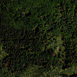 Satellite imagery of survey_point, AT