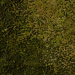 Satellite imagery of 29/11, DE