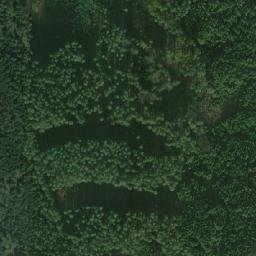 Satellite imagery of Stará paseka [Cep], CZ