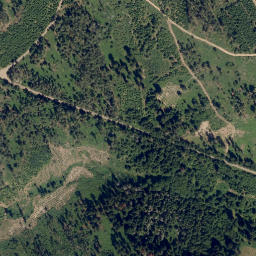 Satellite imagery of Velké lesy [Županovice u Dešné], CZ