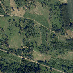 Satellite imagery of Velké lesy [Županovice u Dešné], CZ