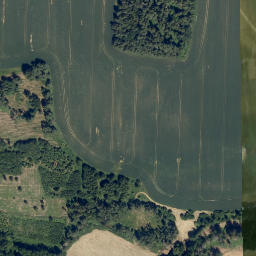 Satellite imagery of Velké lesy [Županovice u Dešné], CZ