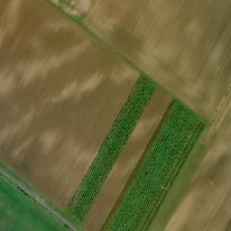 Satellite imagery of Borky [Veselí nad Moravou-Milokošť], CZ