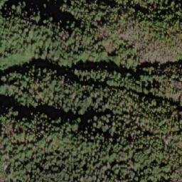 Satellite imagery of Mount Landale, CA