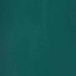 Satellite imagery of Birch Point, US