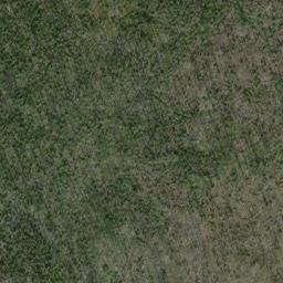 Satellite imagery of Ptarmigan Ridge, US