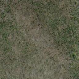 Satellite imagery of Ptarmigan Ridge, US