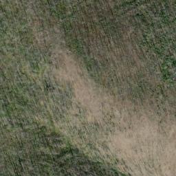 Satellite imagery of Ptarmigan Ridge, US