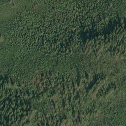 Satellite imagery of Parke Ridge, US