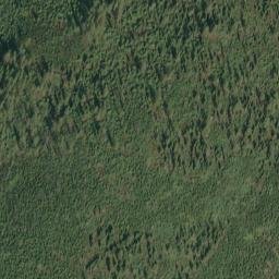 Satellite imagery of Parke Ridge, US