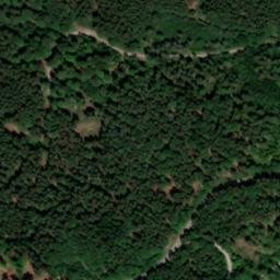 Satellite imagery of Hohentannen, DE