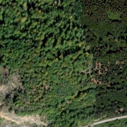 Satellite imagery of Lenzenbühel, DE