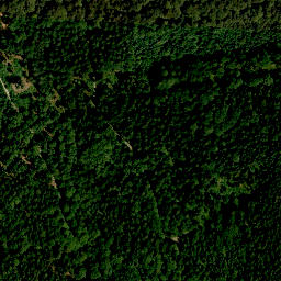 Satellite imagery of survey_point, AT
