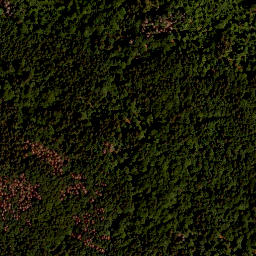 Satellite imagery of survey_point, AT