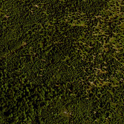 Satellite imagery of 29/11, DE