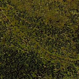 Satellite imagery of 29/11, DE