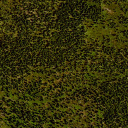 Satellite imagery of Lusen, DE