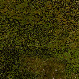 Satellite imagery of Lusen, DE