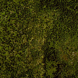 Satellite imagery of TP, AT