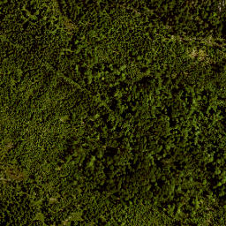 Satellite imagery of TP, AT