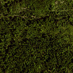 Satellite imagery of TP, AT