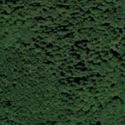 Satellite imagery of Zátoňská hora [Lenora], CZ