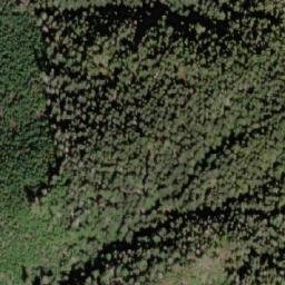 Satellite imagery of Mount Landale, CA