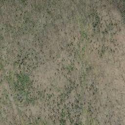 Satellite imagery of Ptarmigan Ridge, US