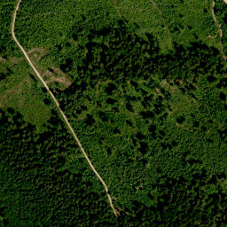 Satellite imagery of Bocksruck, DE