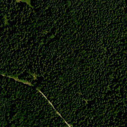 Satellite imagery of Mühlbauerberg, DE