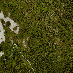 Satellite imagery of Lusen, DE